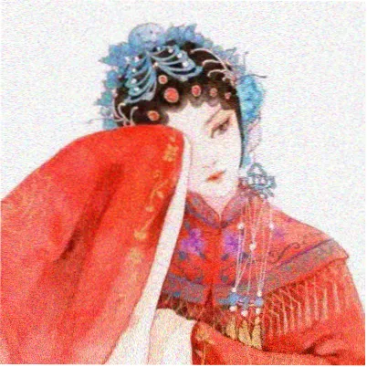 读者山雀的留言头像